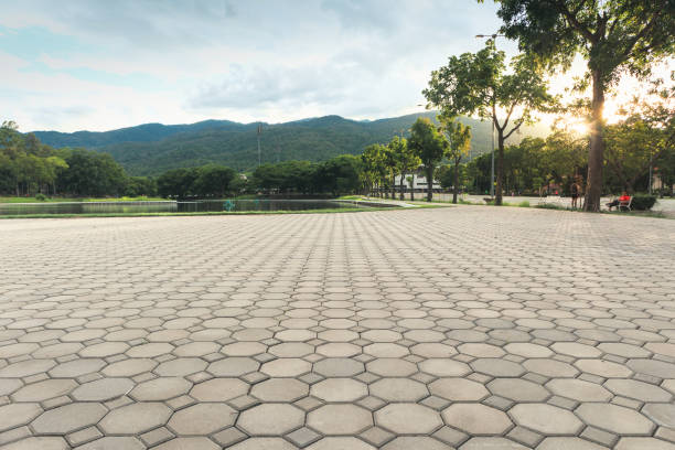 Best Professional Driveway Pavers  in Swartz, LA